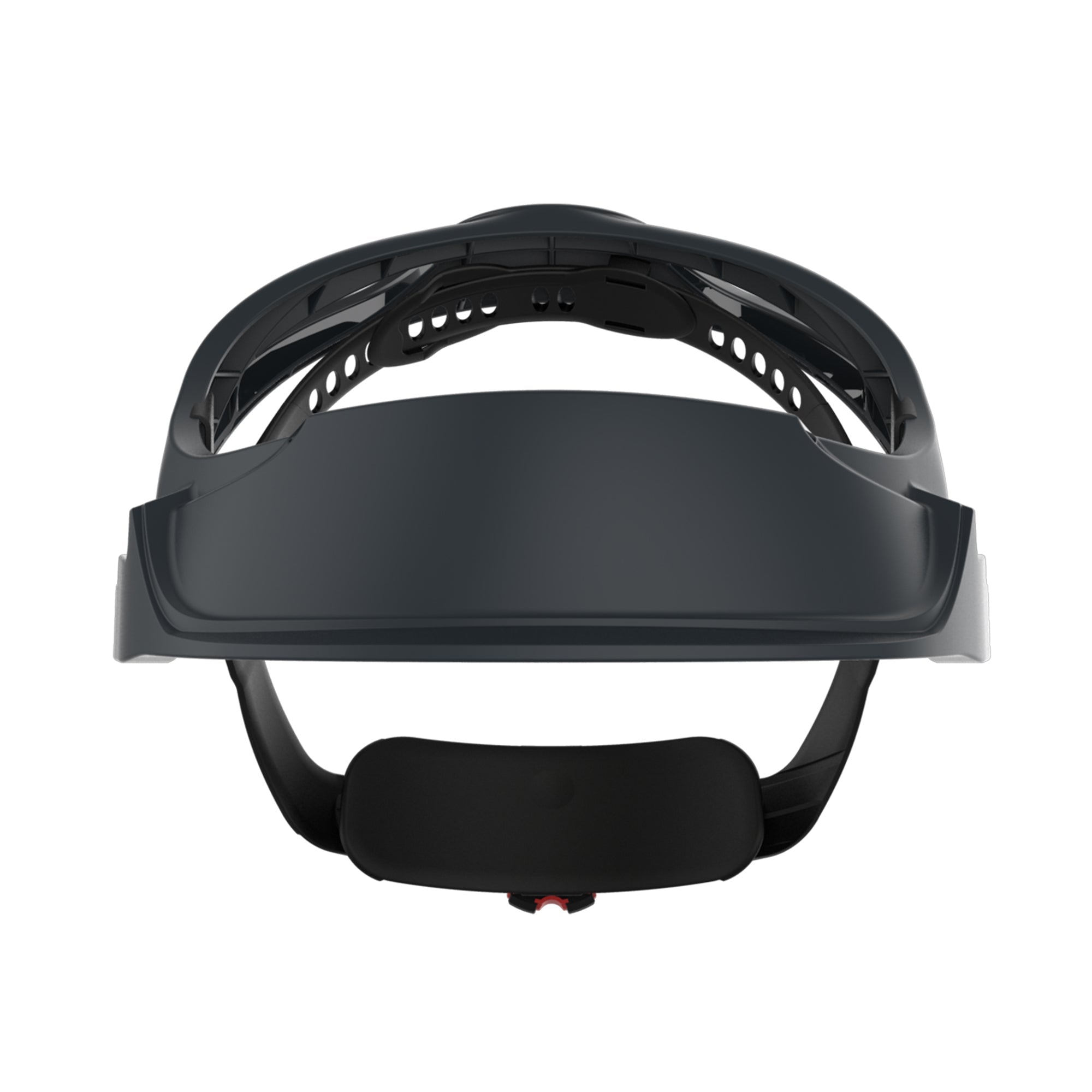 JSP EVOGuard Browguard