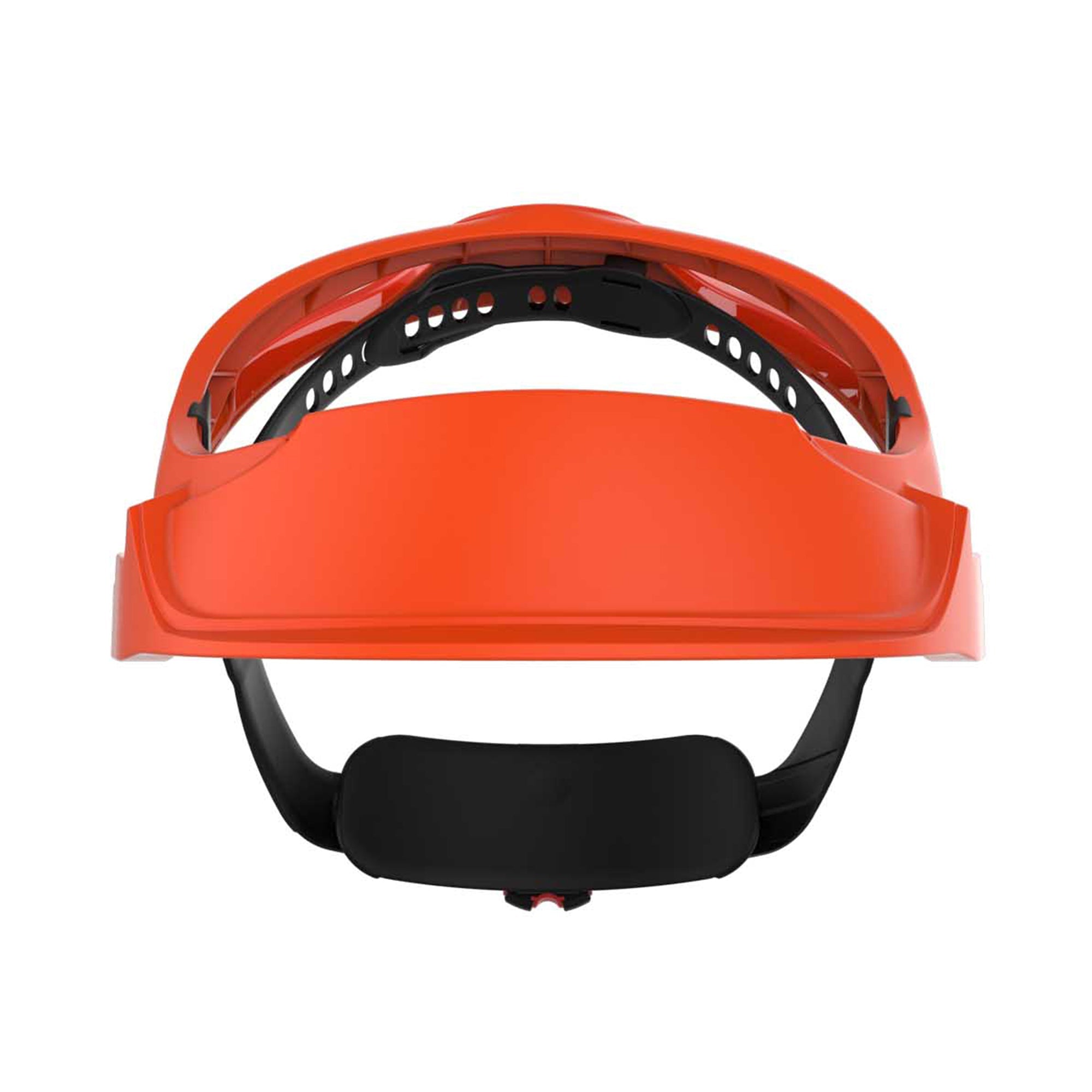 JSP EVOGuard Browguard