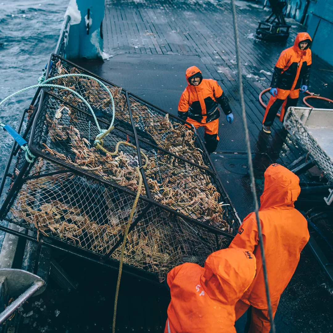 #colour_orange-black