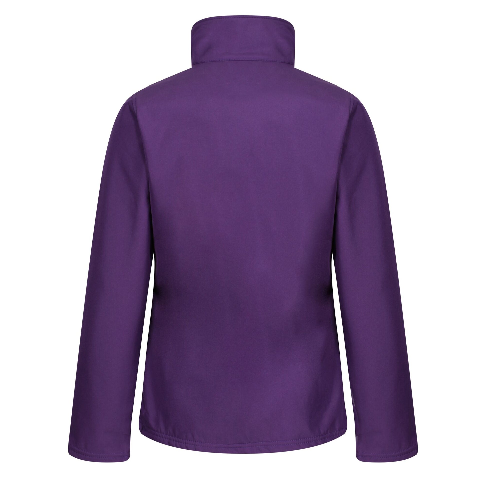 #colour_major-purple-black