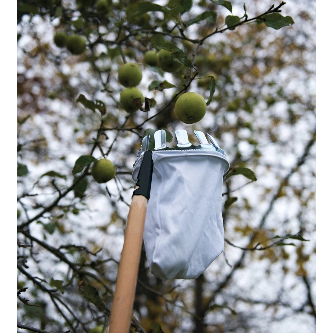 Silverline Fruit Picker