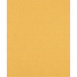 Bosch Professional Expert C470 Sandpaper Sheet - 230 x 280 mm, G 100 for Handsanding