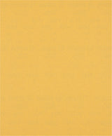 Bosch Professional Expert C470 Sandpaper Sheet - 230 x 280 mm, G 120 for Handsanding