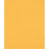 Bosch Professional Expert C470 Sandpaper Sheet - 230 x 280 mm, G 220 for Handsanding