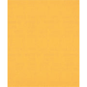 Bosch Professional Expert C470 Sandpaper Sheet - 230 x 280 mm, G 220 for Handsanding