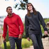 Regatta Professional Buildup Hoodie - Ash Grey