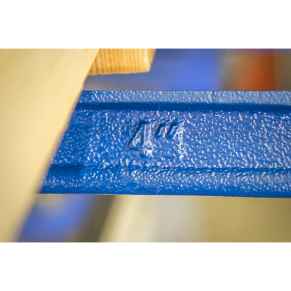 Sealey 100mm G-Clamp Quick Release