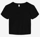 Bella Canvas Women's Micro Rib Baby T-Shirt