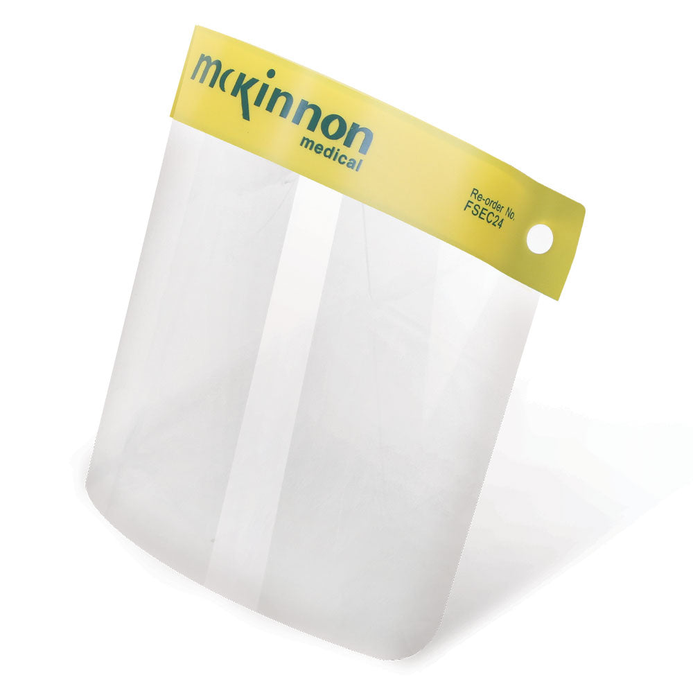 Beeswift Mckinnon Economy Face Shield