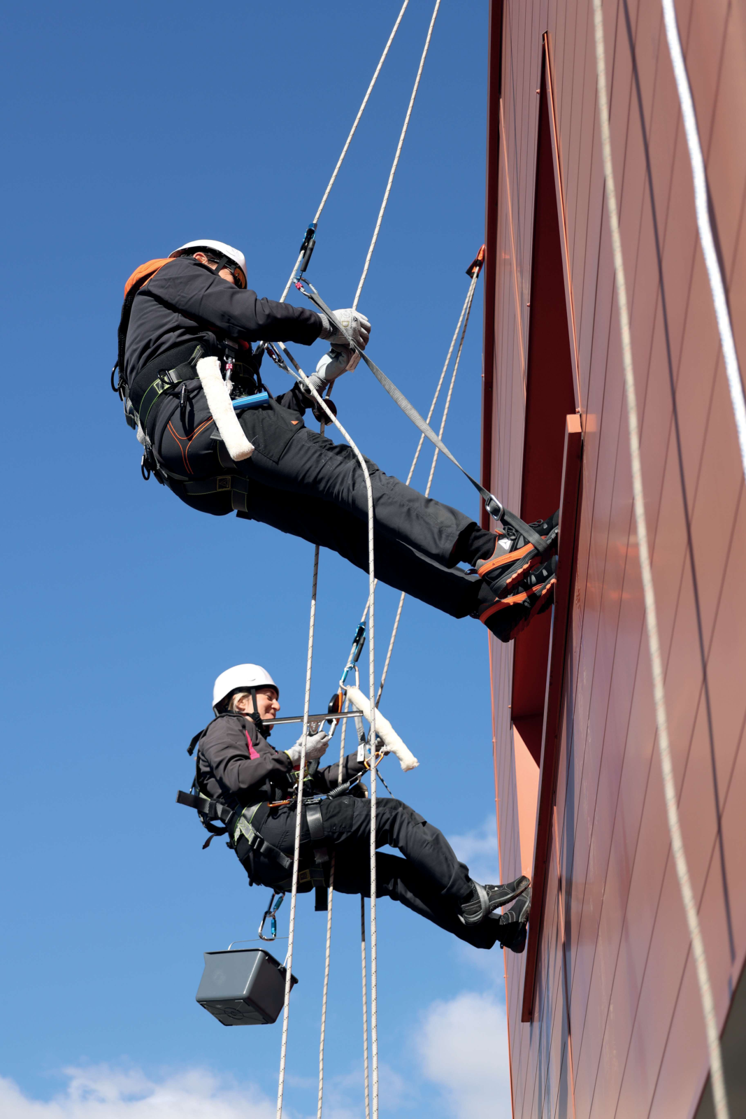 Delta Plus LYNX HAR35R Technical Rope Access Harness