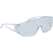 Delta Plus PITON 2 CLEAR Safety Glasses