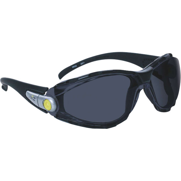 Delta Plus PACAYA SMOKE LYVIZ Safety Glasses - Anti-Fog, Impact & UV Protection