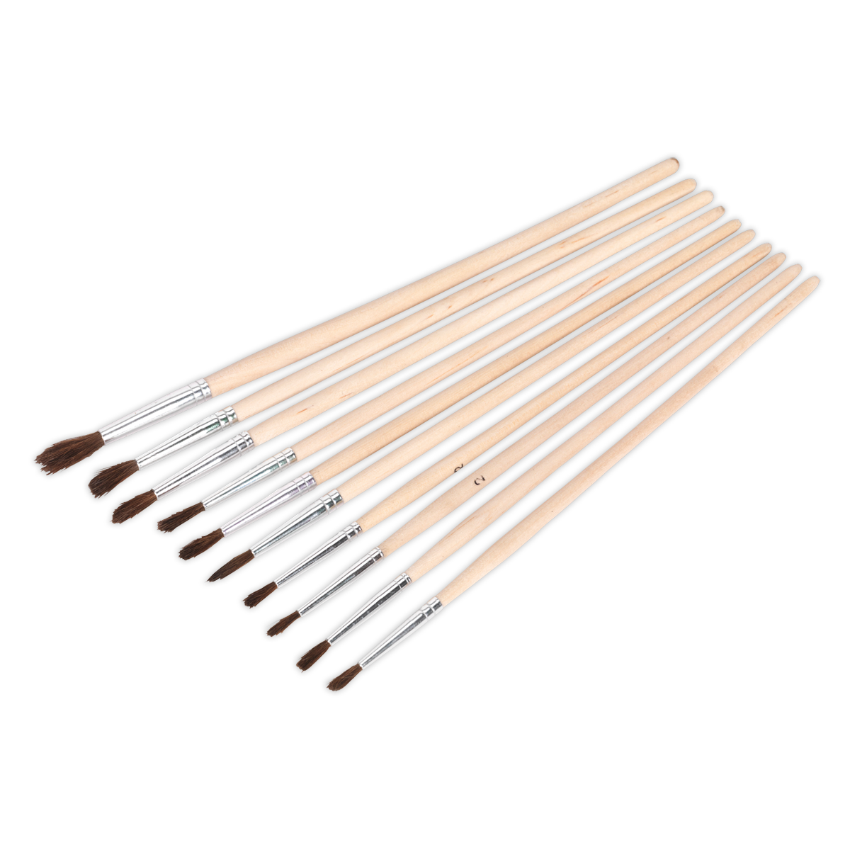 Sealey Touch-Up Paint Brush Assortment 10pc Wooden Handle