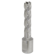 Sealey Rotabor Cutter HSS Ø12mm - Cut Depth 50mm