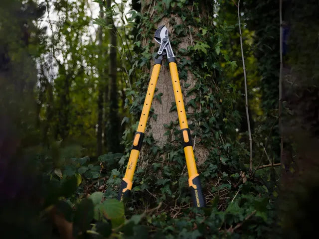 Roughneck XT Pro Telescopic Anvil Loppers 695 - 945mm