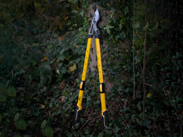 Roughneck XT Pro Telescopic Bypass Loppers 695 - 945mm