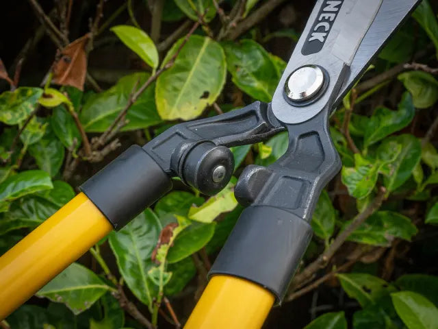 Roughneck XT Pro Telescopic Hedge Shears 700 - 895mm