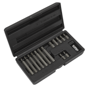 Sealey Hex Bit & Holder Set 15pc - Metric