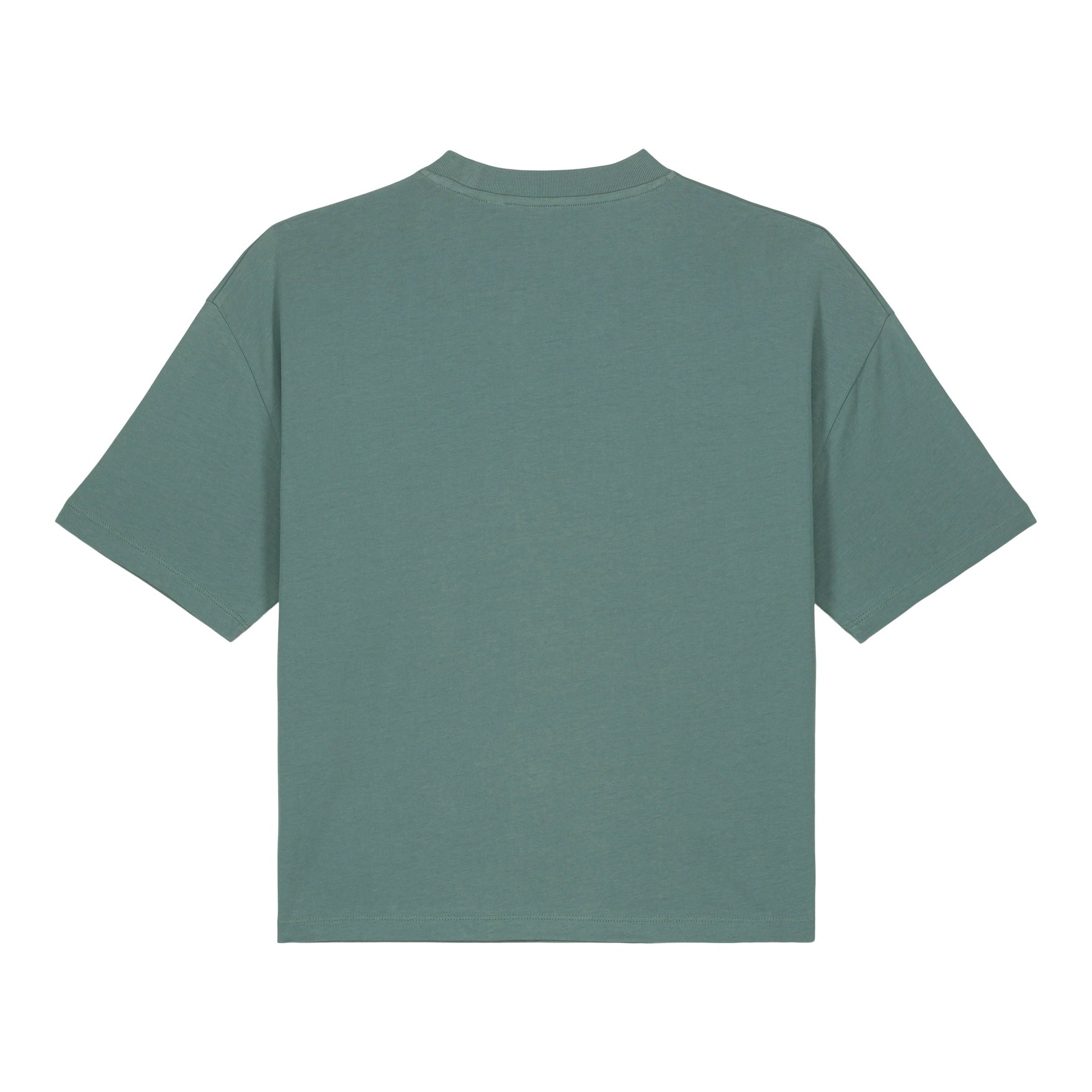 Stanley/Stella Women's Stella Nova Boxy T-Shirt (Sttw175)