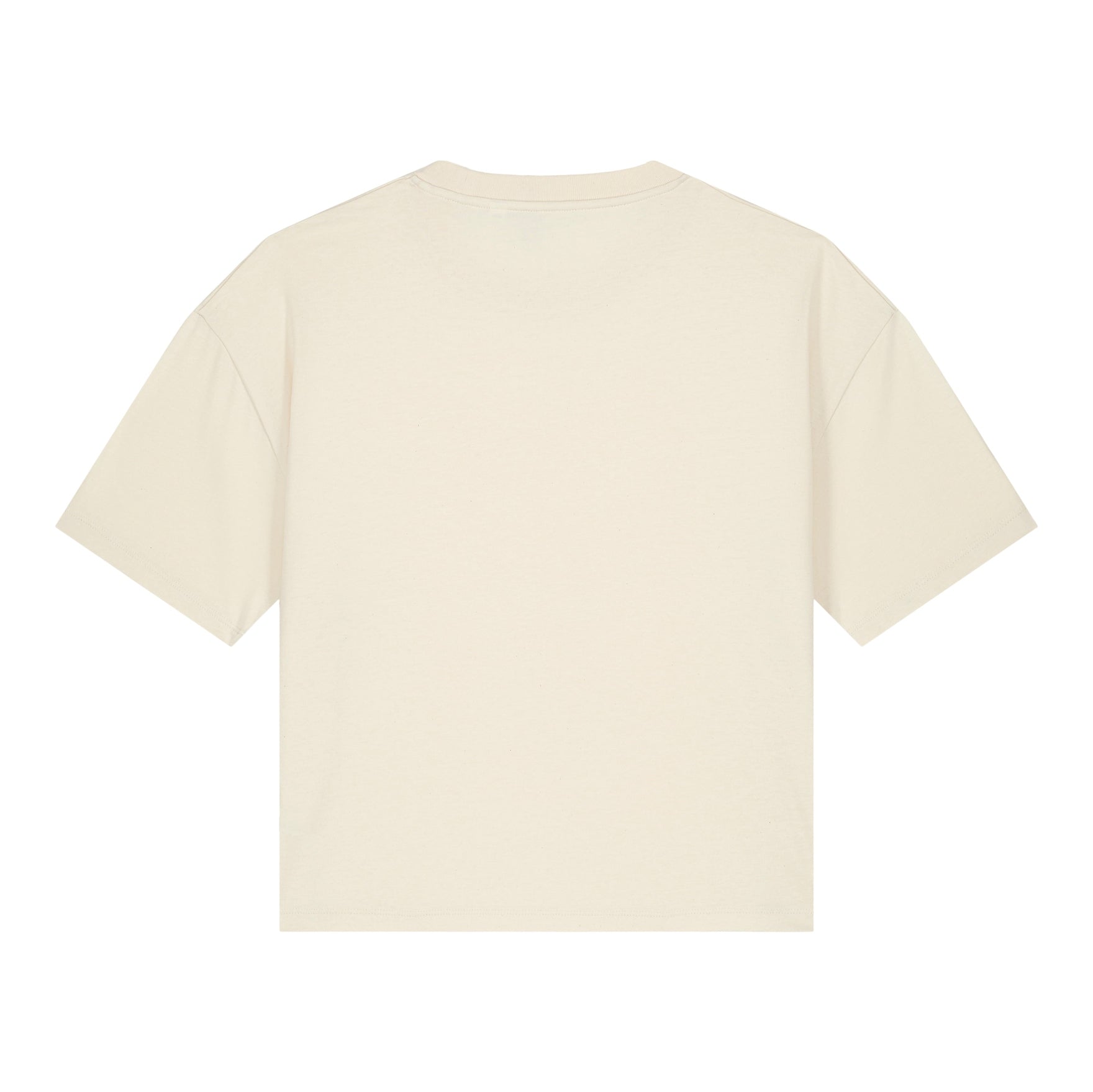 Stanley/Stella Women's Stella Nova Boxy T-Shirt (Sttw175)