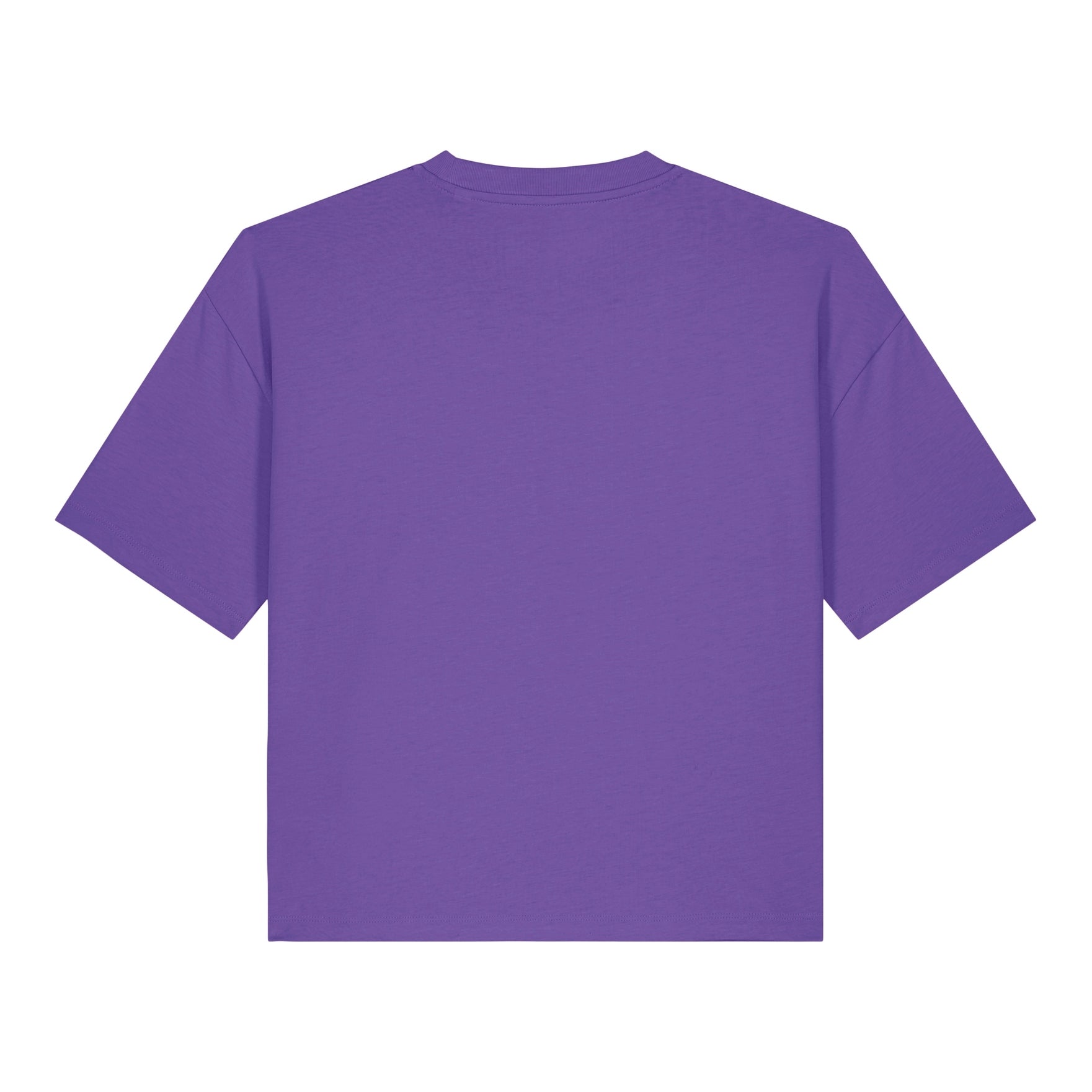 Stanley/Stella Women's Stella Nova Boxy T-Shirt (Sttw175)