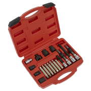 Sealey Alternator Freewheel Pulley Removal Set 18pc