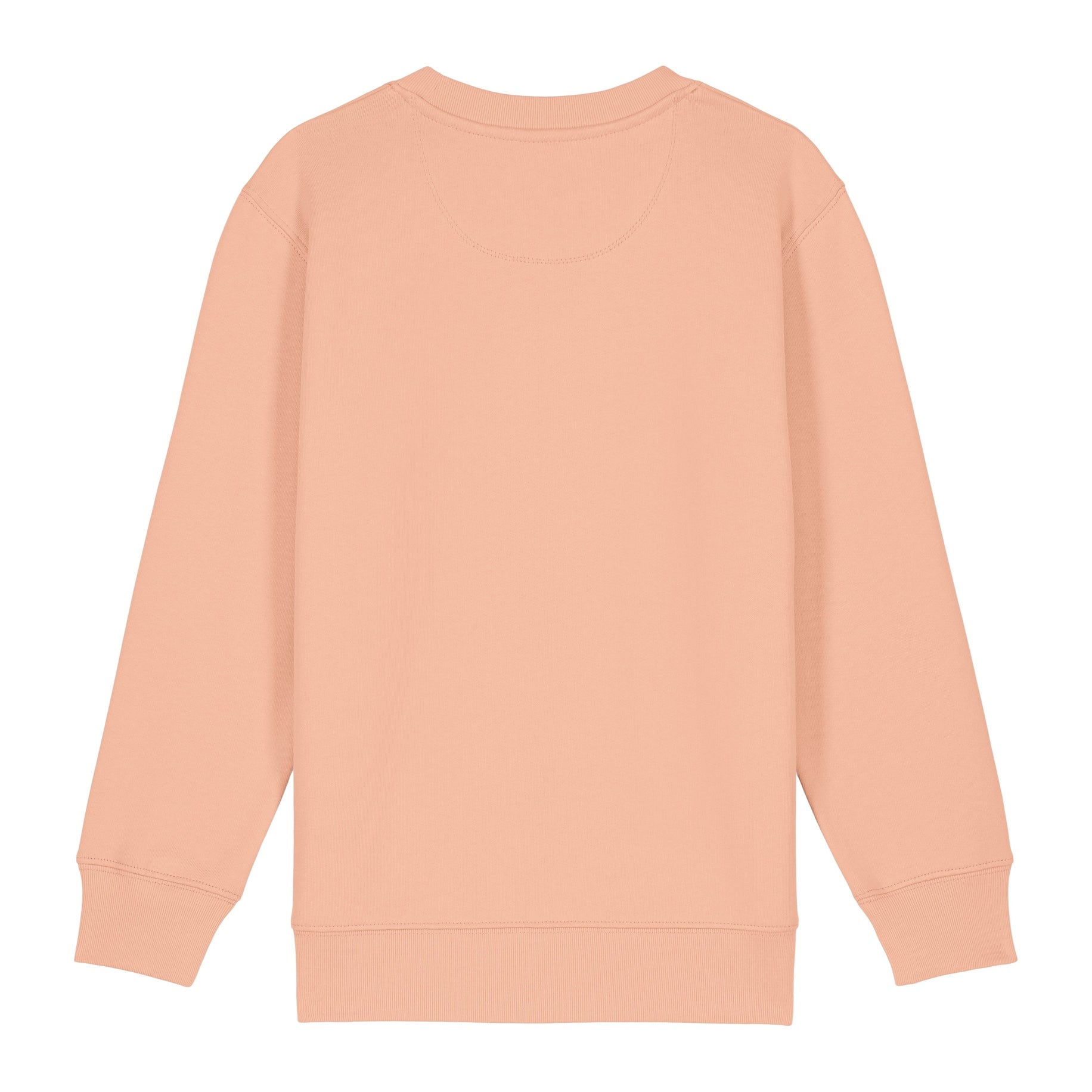 Stanley/Stella Kids Mini Changer 2.0 Iconic Crew Neck Sweatshirt (Stsk181)