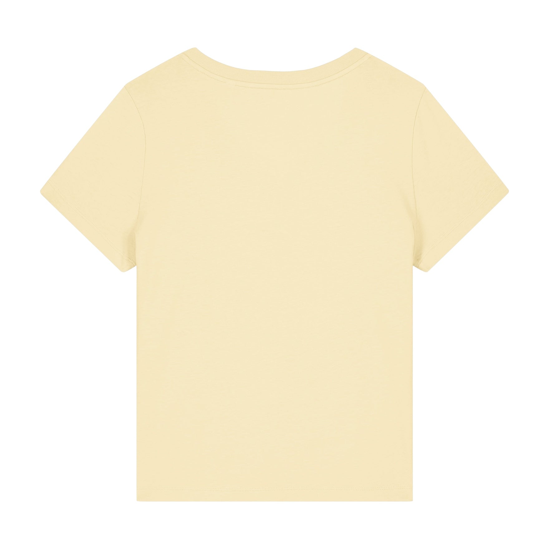 Stanley/Stella Women's Stella Isla V-Neck T-Shirt (Sttw176)