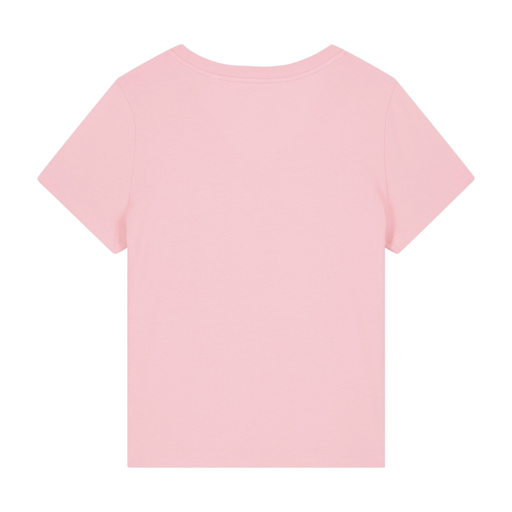 Stanley/Stella Women's Stella Isla V-Neck T-Shirt (Sttw176)