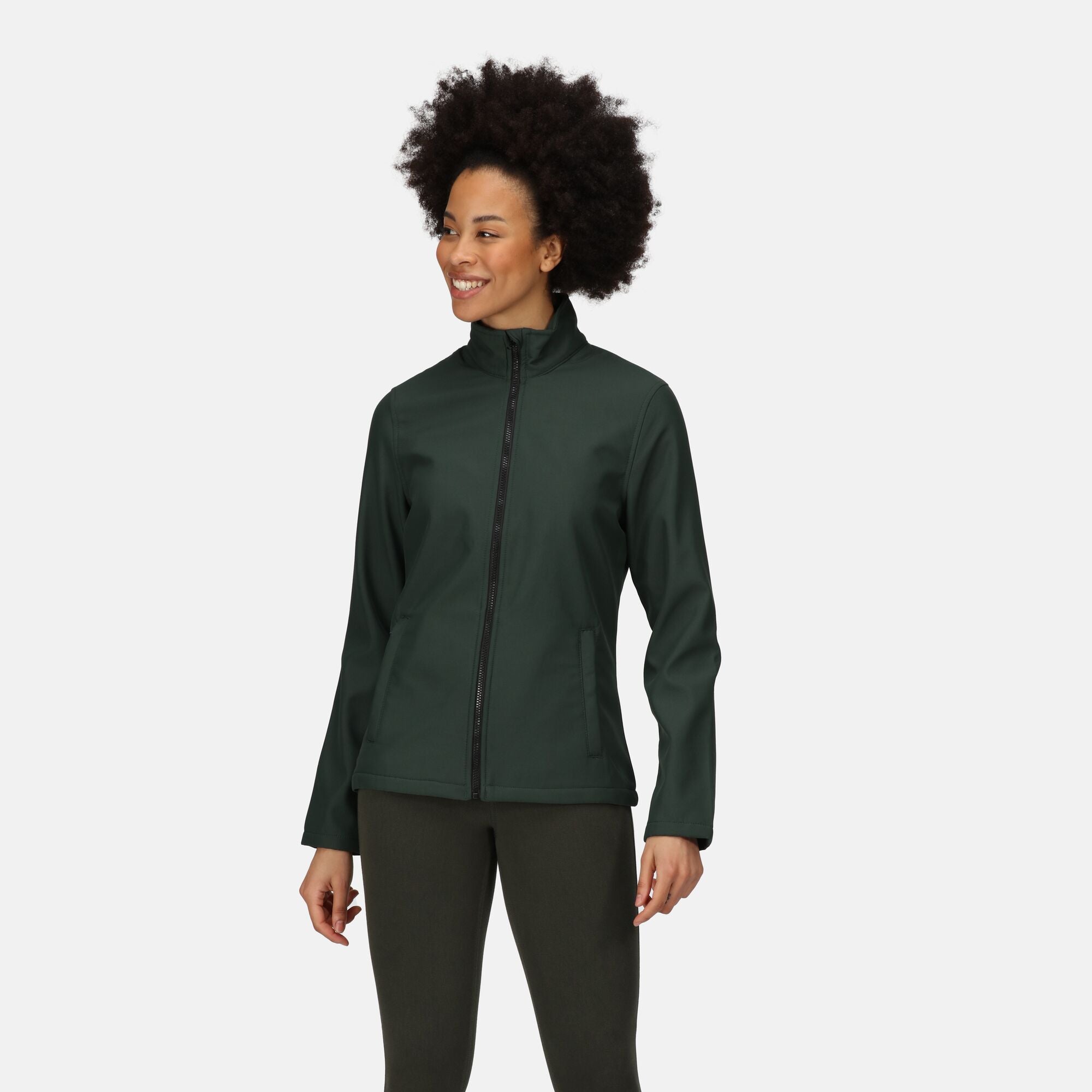 #colour_dark-spruce-black