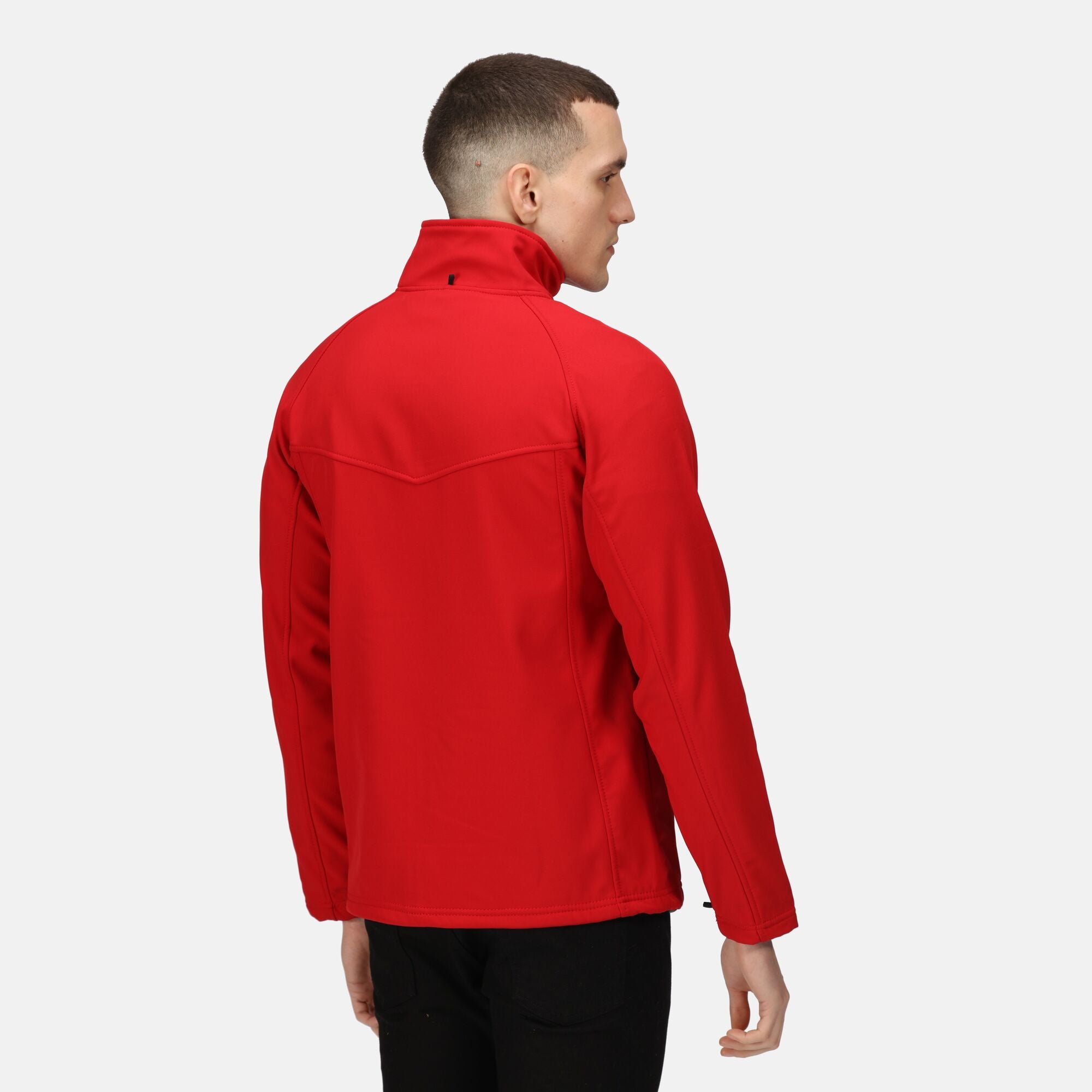 #colour_classic-red-seal-grey