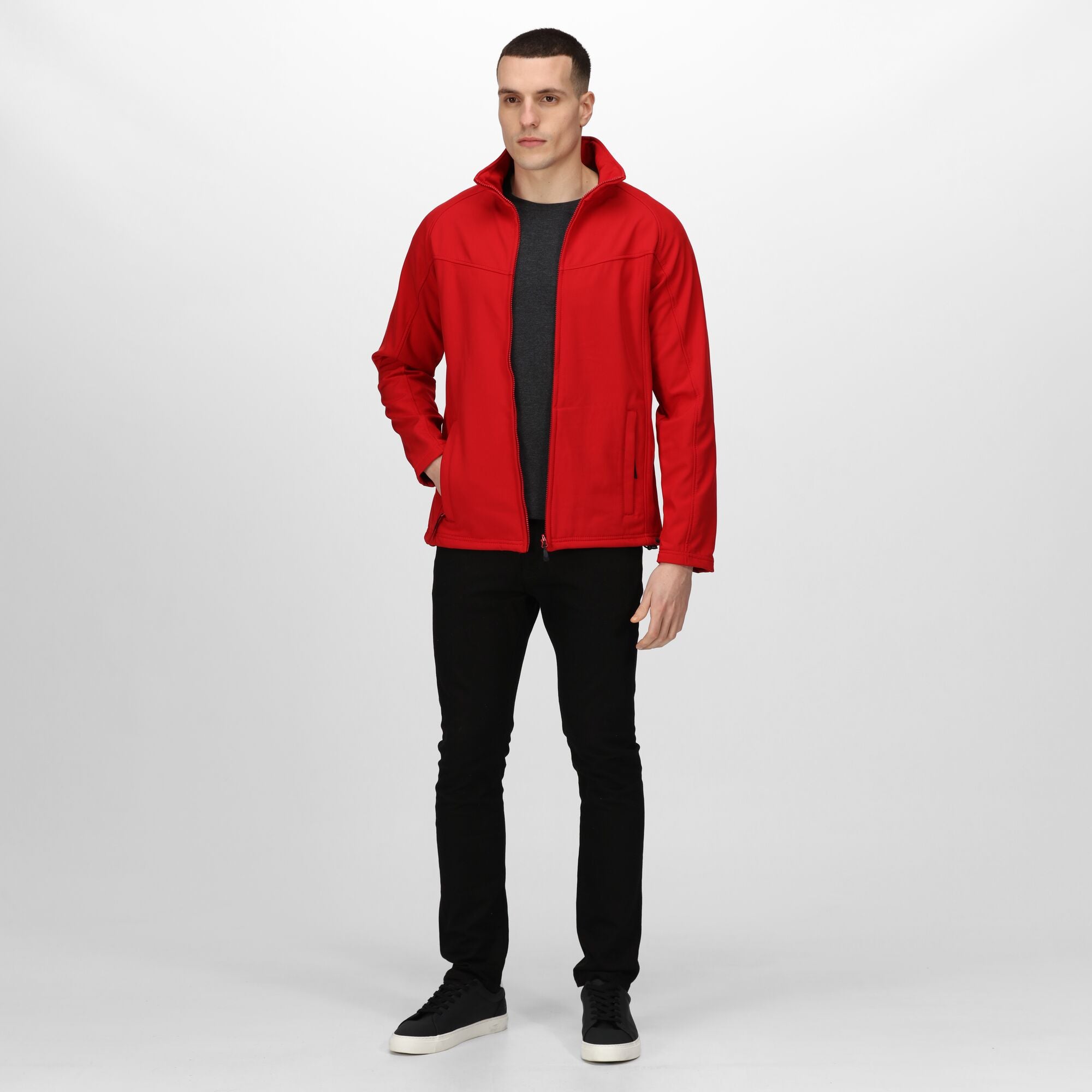 #colour_classic-red-seal-grey
