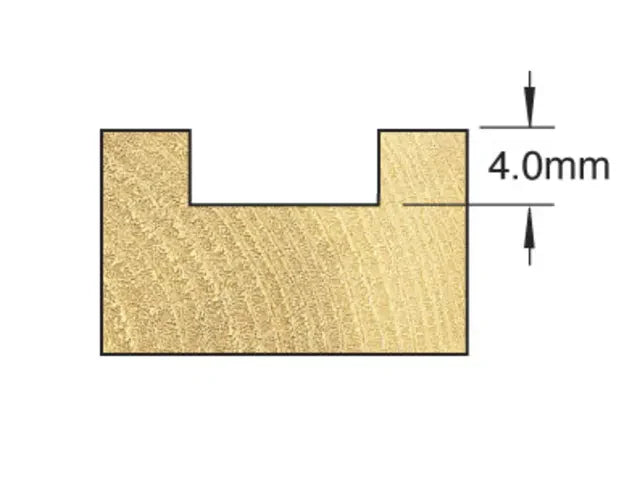 Trend C209 x 1/4 TCT Intumescent Recessor 10 x 24mm