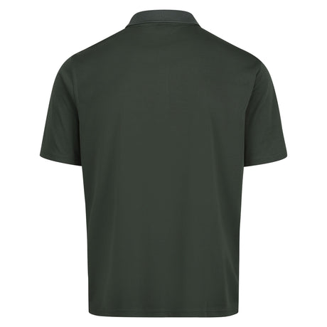 #colour_dark-green