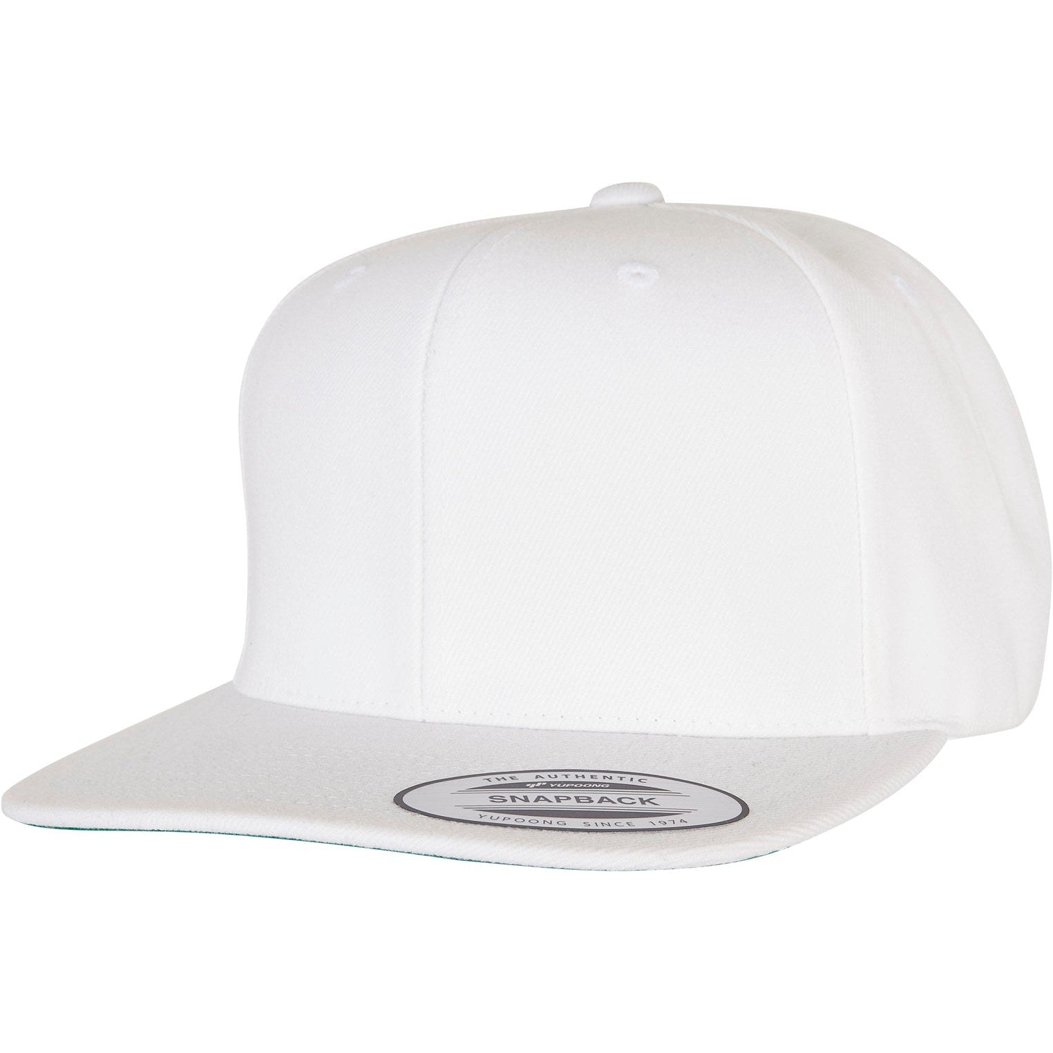 Flexfit By Yupoong The Classic Snapback (6089M)