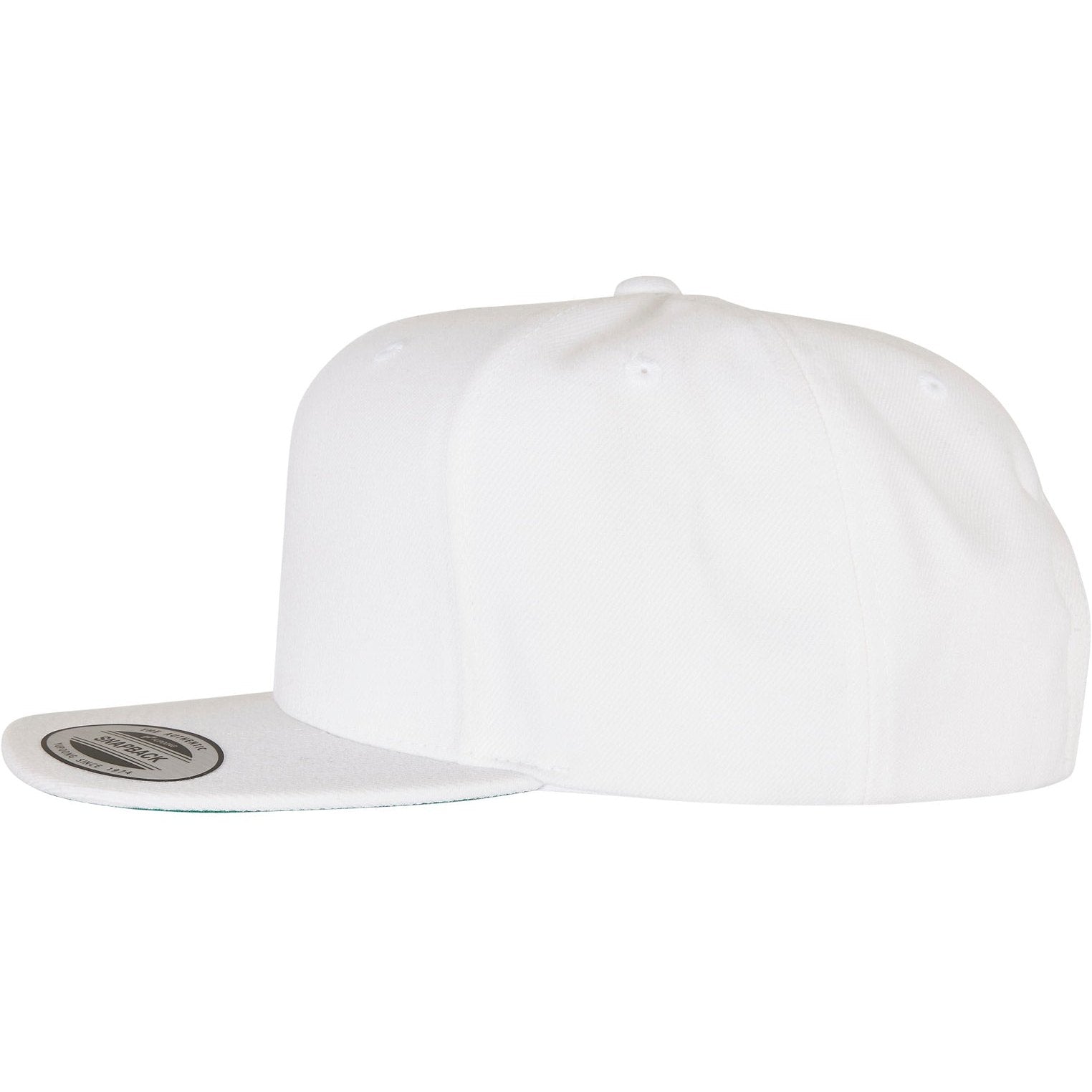 Flexfit By Yupoong The Classic Snapback (6089M)