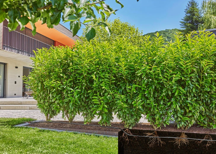 Gardena MDS Set Bushes/Hedges 50m