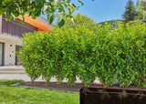 Gardena MDS Set Bushes/Hedges 50m