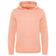 Awdis Ecologie Lusaka Regen Hoodie