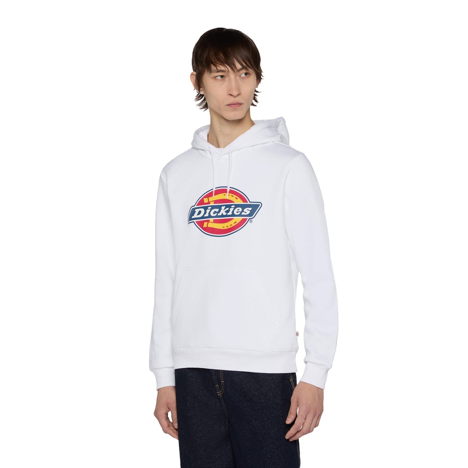 Dickies Icon Logo Hoodie
