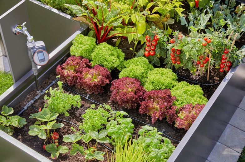 Gardena Start Set for raised beds/beds