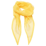 Premier 'Colours' Chiffon Scarf