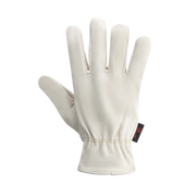 Predator Ivory Drivers Glove