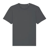 Stanley/Stella Imaginer, The Unisex Raw Edge T-Shirt (Sttu647)