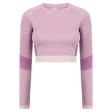 Tombo Women's Seamless Panelled Long Sleeve Crop Top