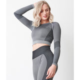 Tombo Women's Seamless Panelled Long Sleeve Crop Top