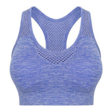 Tombo Women's Seamless Sports Bra
