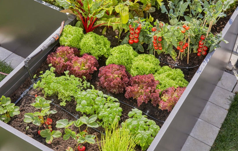 Gardena Start Set for raised beds/beds