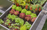 Gardena Start Set for raised beds/beds