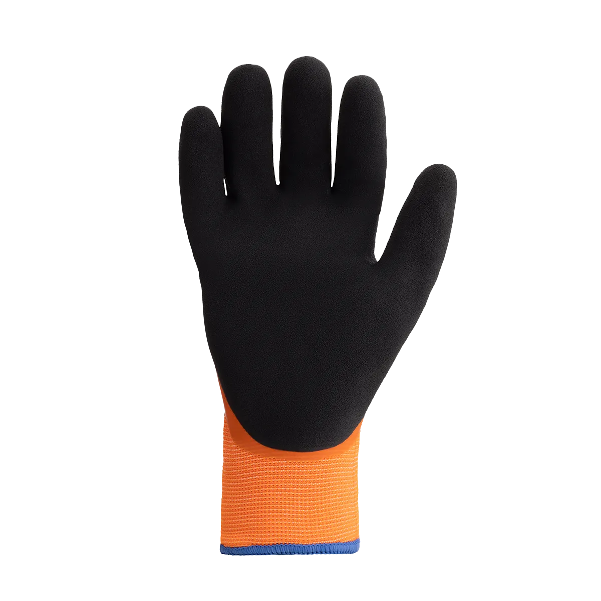 Predator Baltic Gloves